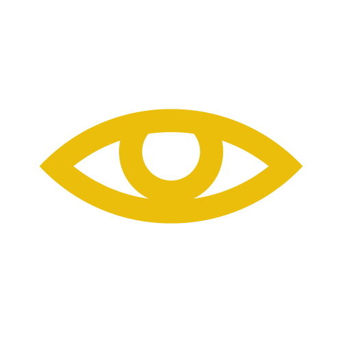 Believing Health, integrated iridology, iridology icon, health store, natural, supplements, Oklahoma, Bethany, Sarah Srisathit